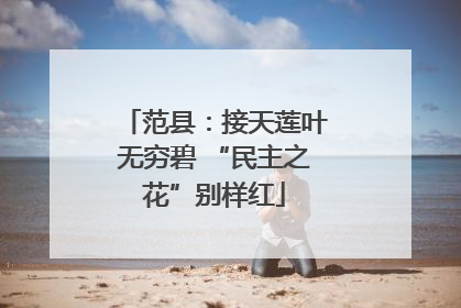 范县：接天莲叶无穷碧 “民主之花”别样红